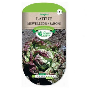 Laitue Merveille des 4 Saisons : Semis & Récolte