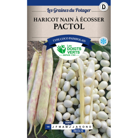 Haricot Nain Pactol Les Doigts Verts à Écosser