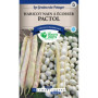 Haricot Nain Pactol Les Doigts Verts à Écosser