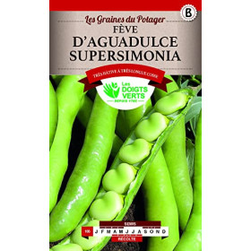 Fève Aguadulce Supersimonia - Graines Les Doigts Verts