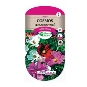 Cosmos Sensation Varié : Graines de Fleurs Annuelle