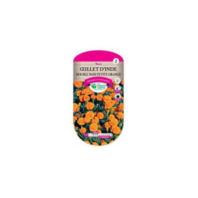 Oeillet d'Inde Double Nain Petite Orange
