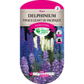 Delphinium Géant Bleu Les Doigts Verts : Vivace Jardin