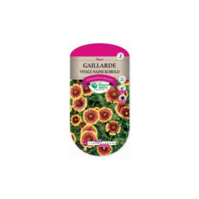 Gaillarde Naine Kobold Vivace Bel Été Fleuri
