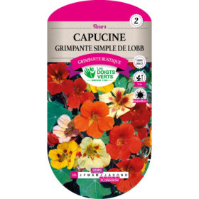 Capucine Grimpante Simple de Lobb : Fleur Jardin