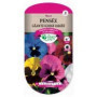 Pensée Géante Suisse Variée - Fleurs de Printemps