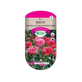 Pavot Double Fleur Pivoine Varié Les Doigts Verts