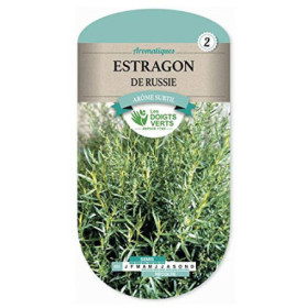 Estragon de Russie Les Doigts Verts : Plante Aromatique