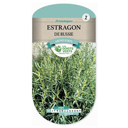 Estragon de Russie Les Doigts Verts : Plante Aromatique