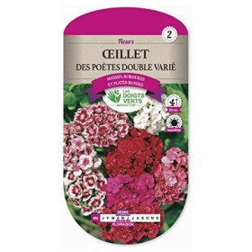 illet des Poètes Double Varié - Jardin Coloré