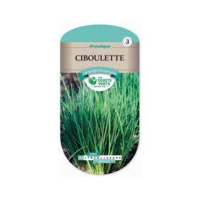 Ciboulette Les Doigts Verts : Graines Aromatiques