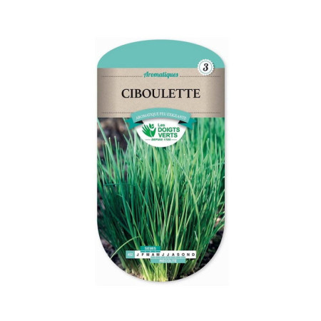 Ciboulette Les Doigts Verts : Graines Aromatiques