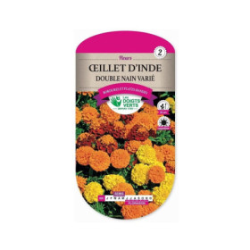 Oeillet d'Inde Double Nain Varié - Fleurs Annuelles