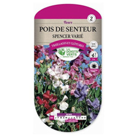 Pois de Senteur Spencer Varié Les Doigts Verts
