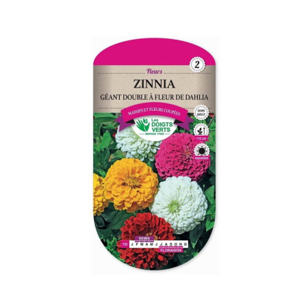 Zinnia Géant Fleur Dahlia - Les Doigts Verts