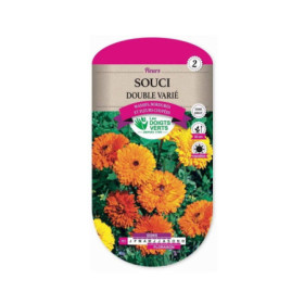 Souci Double Varié - Graines de Fleurs Faciles à Semer