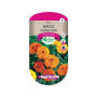 Souci Double Varié - Graines de Fleurs Faciles à Semer