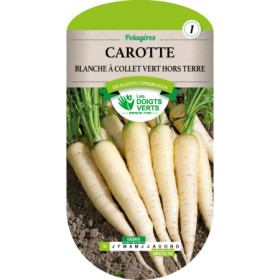 Carotte Blanche Collet Vert Hors Terre Les Doigts Verts
