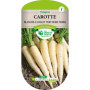 Carotte Blanche Collet Vert Hors Terre Les Doigts Verts