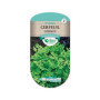 Cerfeuil Commun Les Doigts Verts : Graines Aromatiques