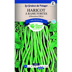 Haricot Rame Fortex - Graines Potagères Les Doigts Verts