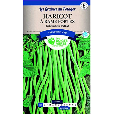 Haricot Rame Fortex - Graines Potagères Les Doigts Verts