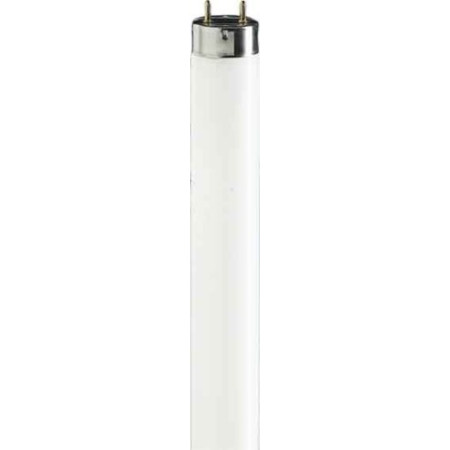 Lampe fluorescente Philips 36W Blanc - 4 mètres
