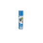 Vernis Mat Aérosol 250ml Protection Transparente