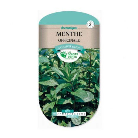 Graines de Menthe Officinale Les Doigts Verts