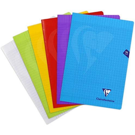 Cahier Clairefontaine Mimesys A4 - 96 pages couleur