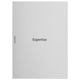 Sous-chemises X40 - Classement & Organisation de Documents