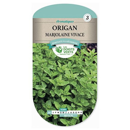 Origan Marjolaine Vivace Graines Les Doigts Verts