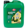 Shampooing Façades Proxynet Nettoie & Rénove 5L