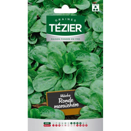 GRAINES MACHE TEZIER